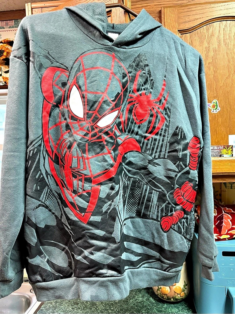Marvel Spider-Man Graphic Hoodie